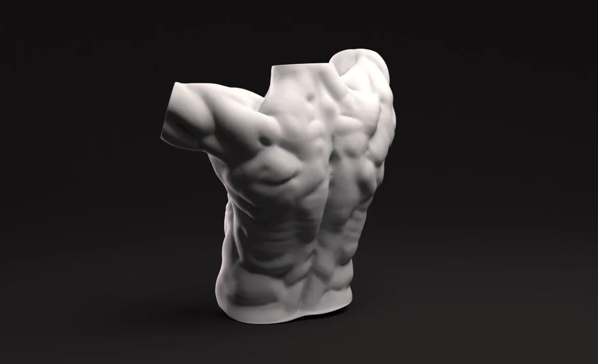Torsos